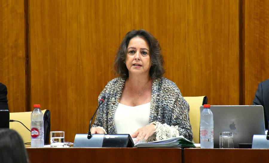 La consejera de Sostenibilidad, durante su intervención en comisión parlamentaria.